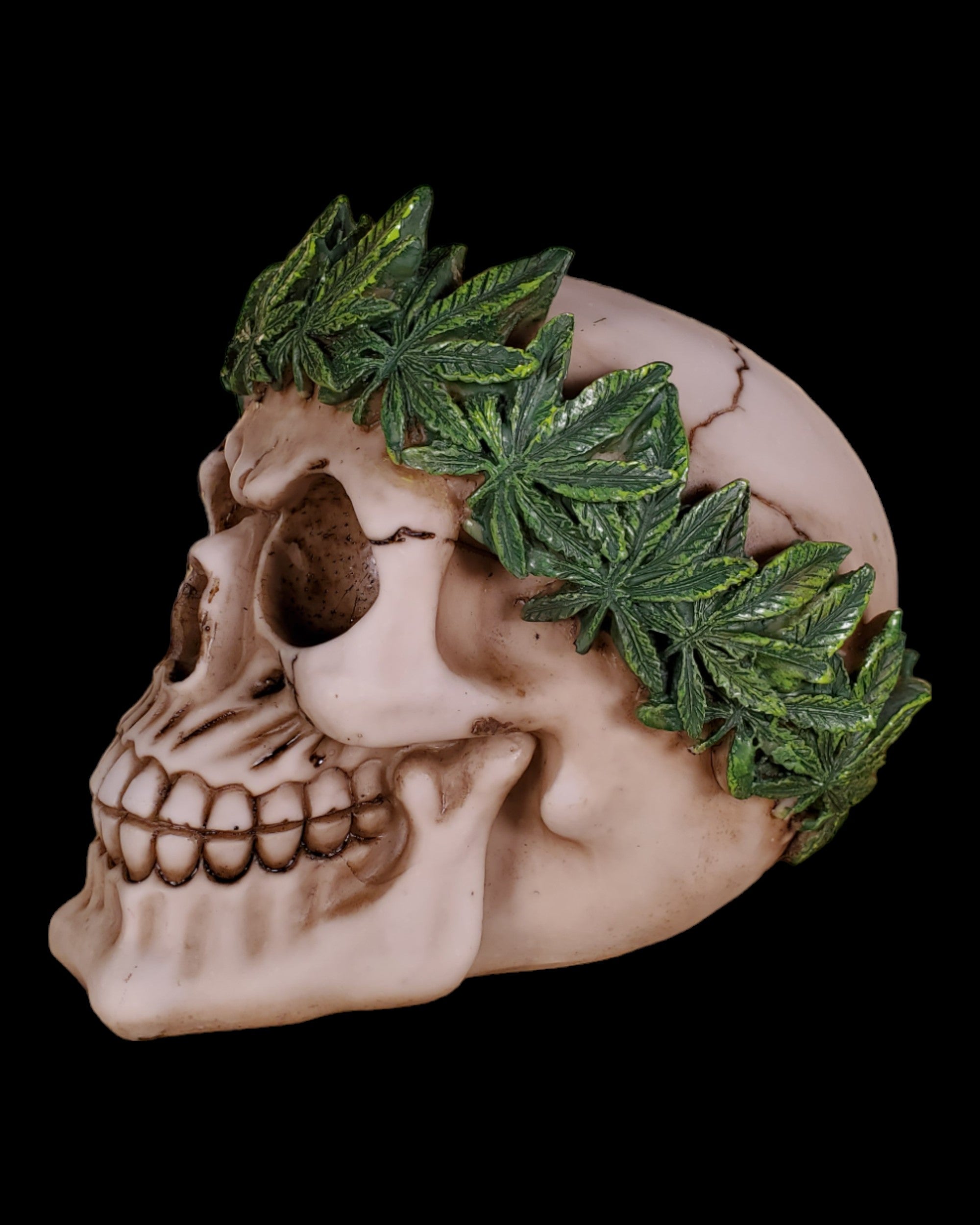 Cannabis King Skull