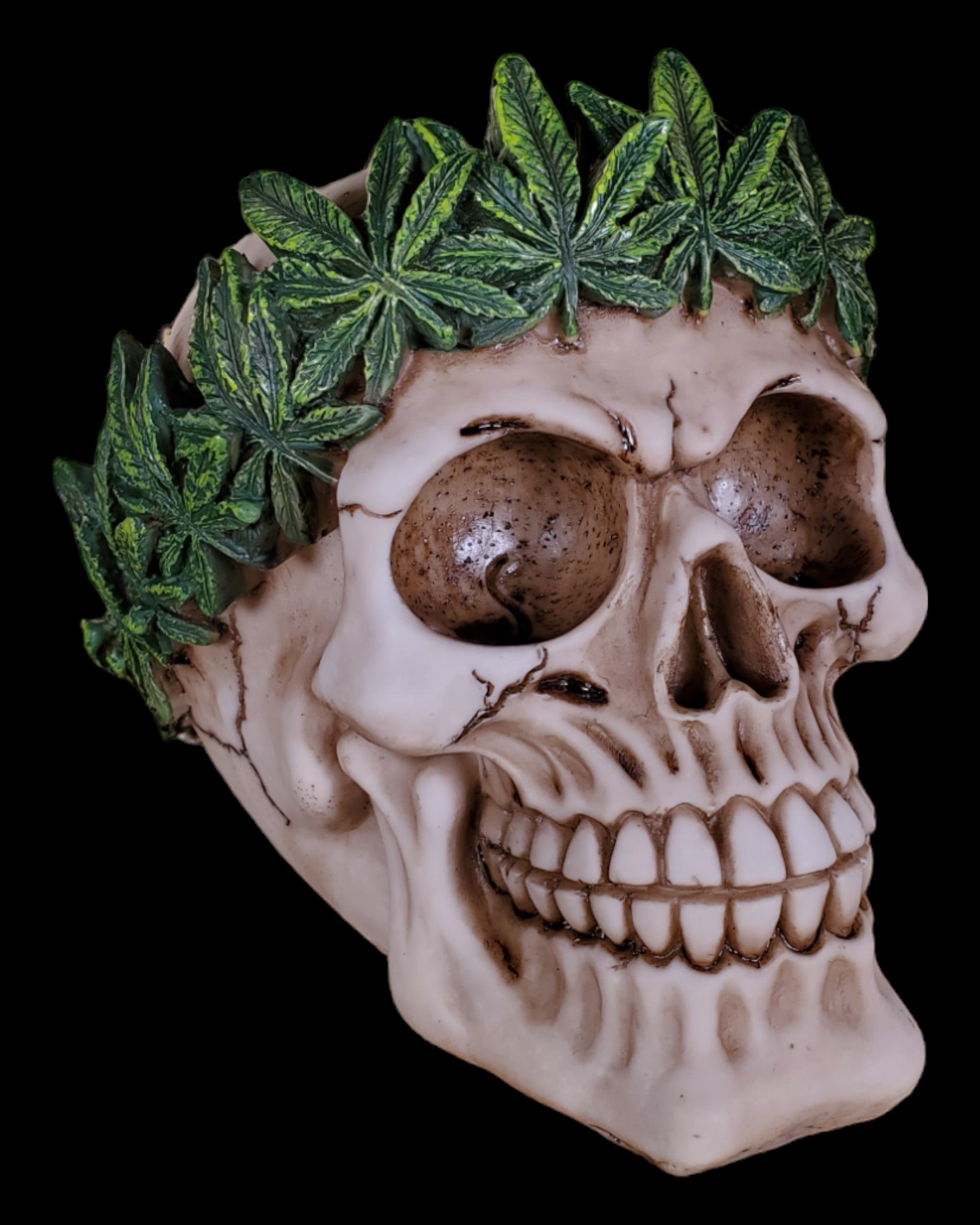 Cannabis King Skull
