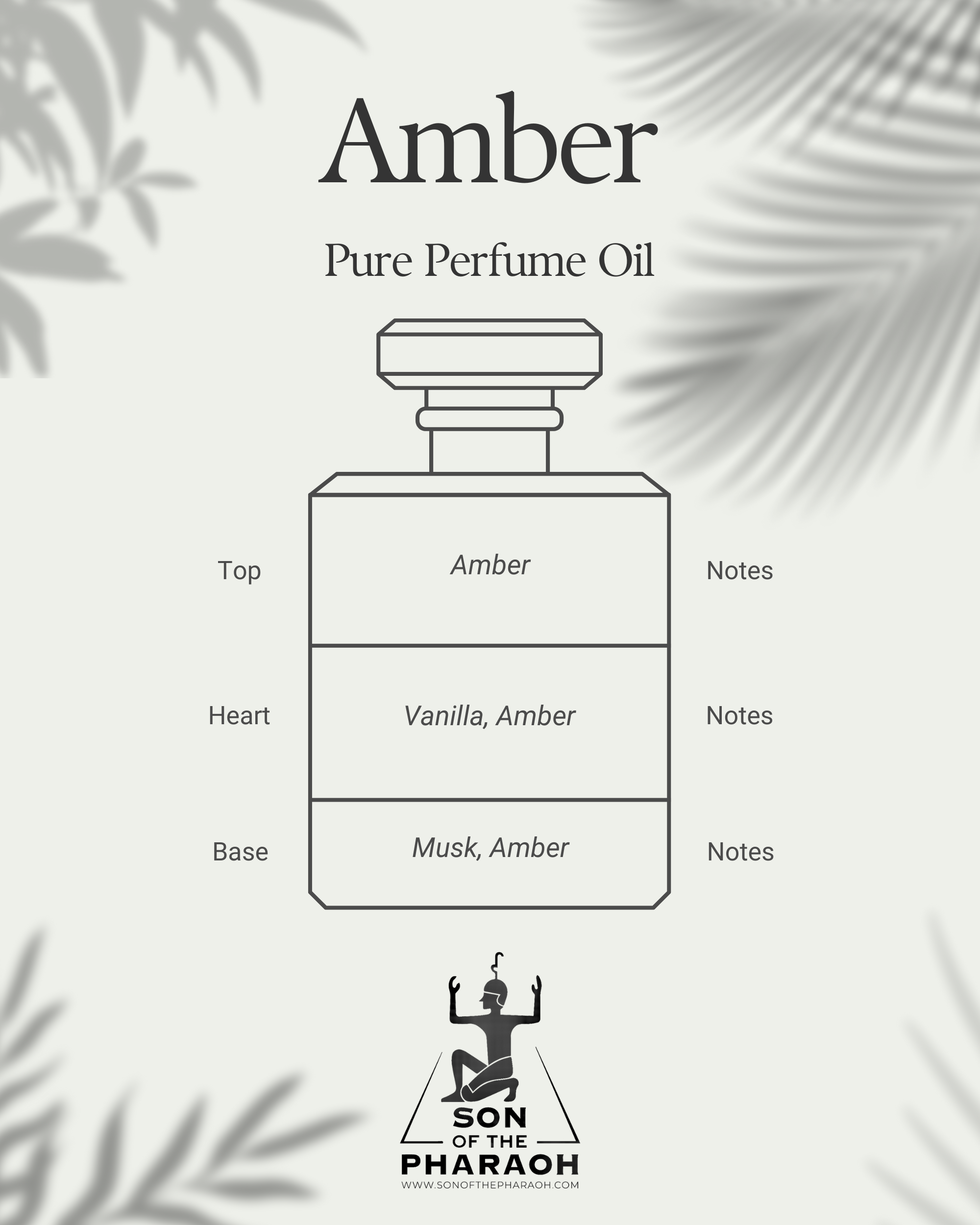 Amber Perfume Oil