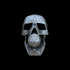 Geometric Skull