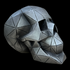 Geometric Skull
