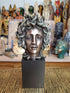 Medusa Bust on Plinth Statue