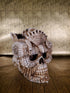 Montezuma Skull