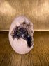 Dragon Hatchling