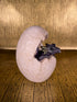 Dragon Hatchling