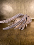 Dragon Skull - Medium